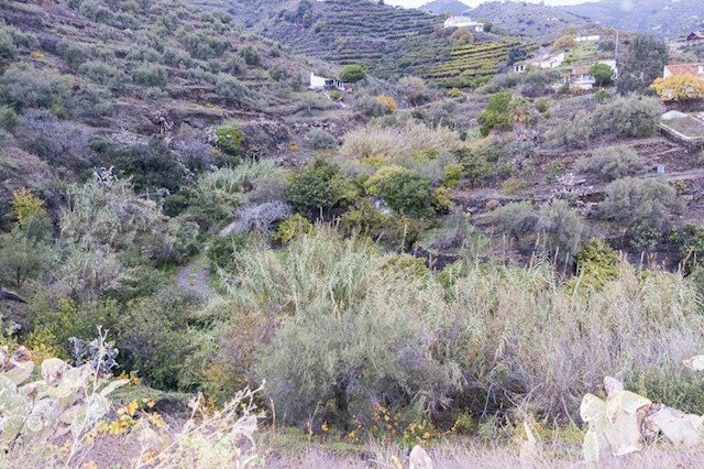 1 sypialnia Finka/Dom wiejski na sprzedaż w Torrox - 160 000 € (Ref: 3262632)