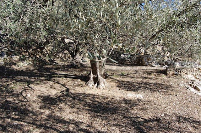 Bouwgrond te koop in Canillas de Albaida - € 40.000 (Ref: 3303267)