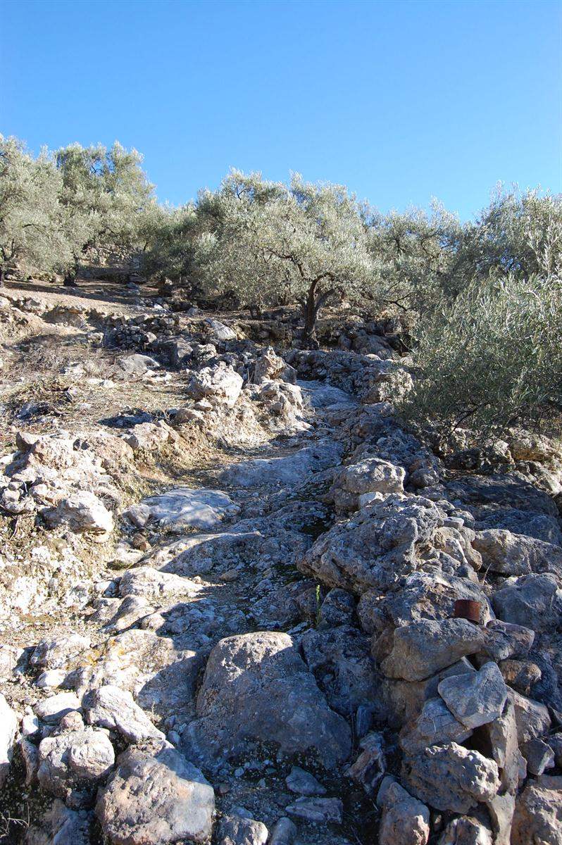 Bouwgrond te koop in Canillas de Albaida - € 40.000 (Ref: 3303267)