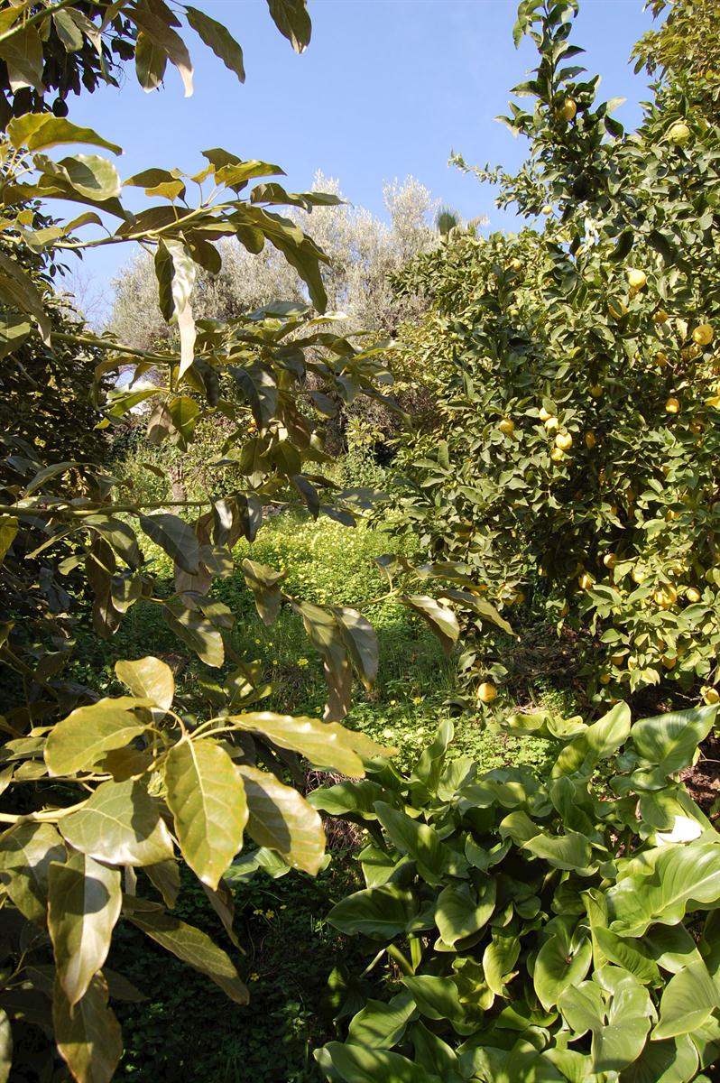 Działka budowlana na sprzedaż w Competa - 320 000 € (Ref: 3304114)