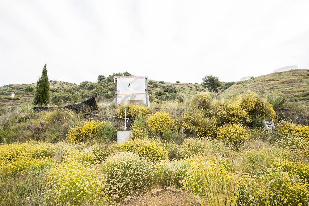 Mark till salu i Torrox - 75 000 € (Ref: 3424720)