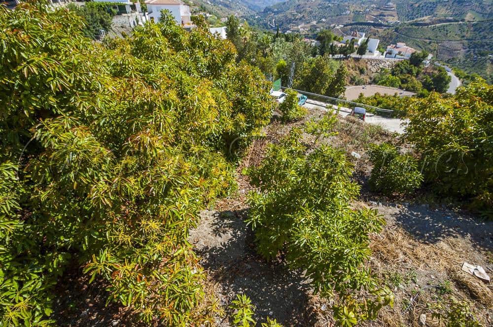 Grunde uden byggetilladelser til salg i Canillas de Albaida - € 188.000 (Ref: 3473467)