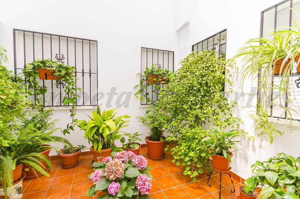 3 chambre Appartement à vendre à Canillas de Albaida - 252 000 € (Ref: 3536040)