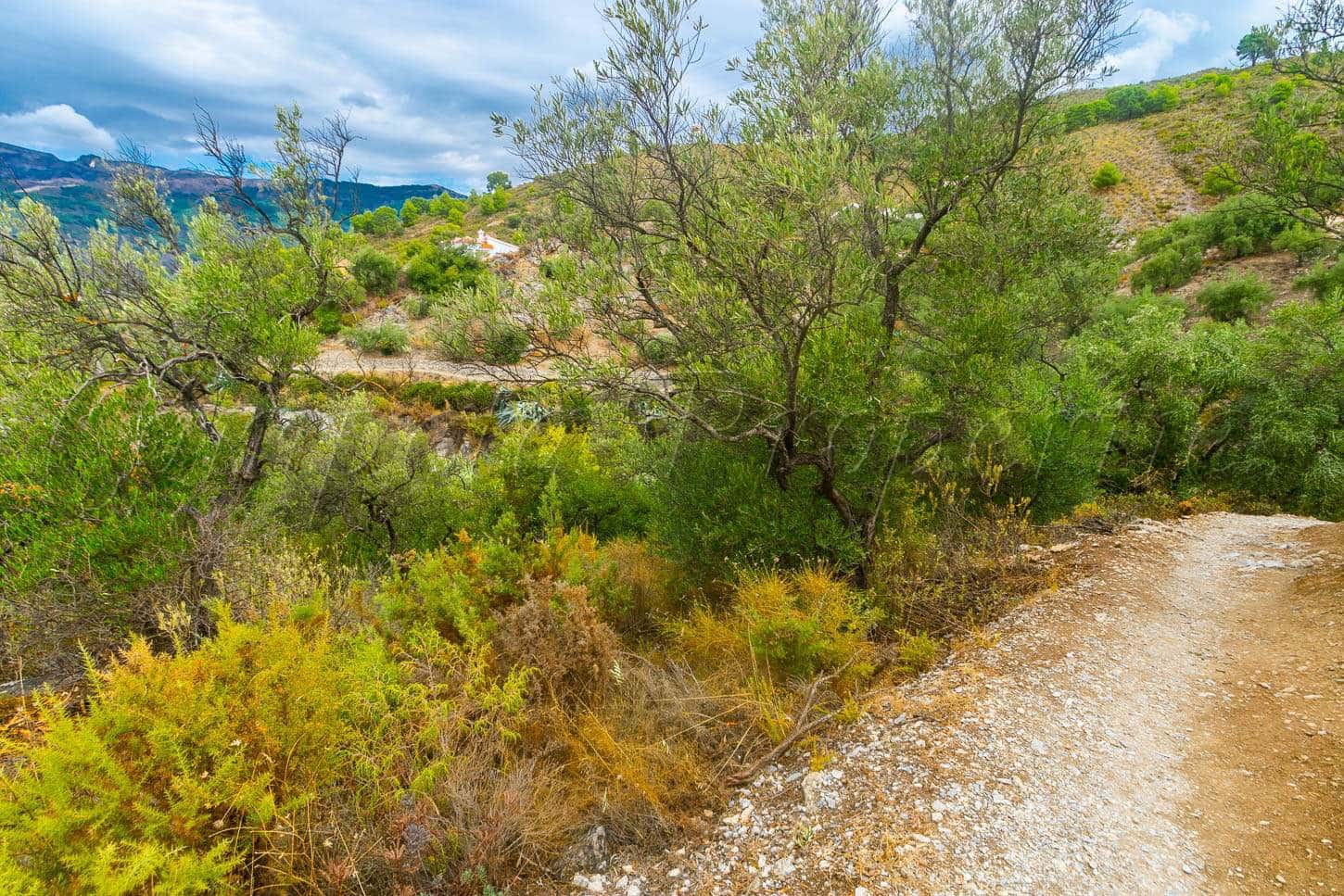 Grunde uden byggetilladelser til salg i Canillas de Albaida - € 18.000 (Ref: 3635725)