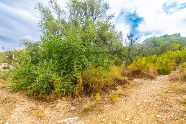 Terreno Non Edificato in vendita in Canillas de Albaida - 18.000 € (Rif: 3635725)