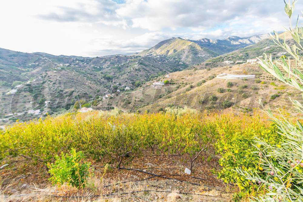 Finka/Dom wiejski na sprzedaż w Torrox - 189 000 € (Ref: 3676937)