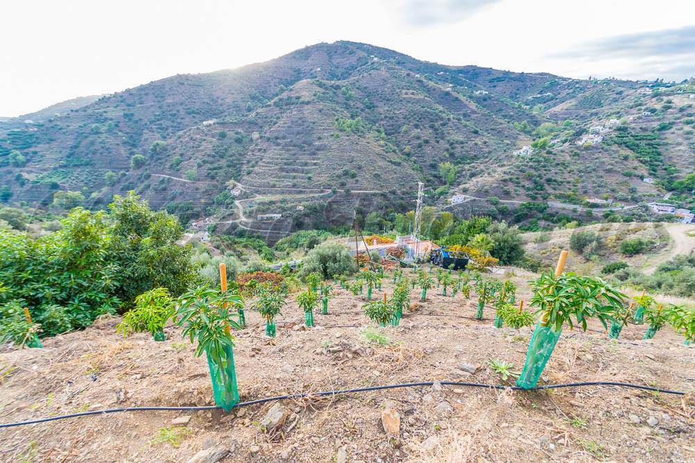 Finka/Dom wiejski na sprzedaż w Torrox - 189 000 € (Ref: 3676937)