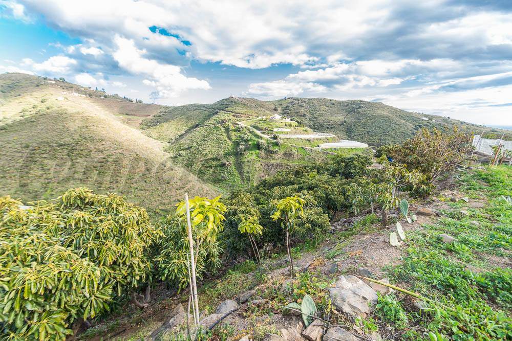 Ubebygd land til salgs i Torrox-Costa - € 231 000 (Ref: 3836738)