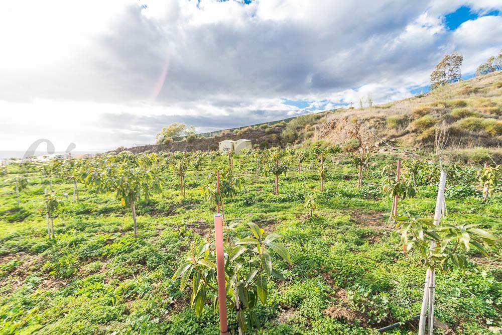 Ubebygd land til salgs i Torrox-Costa - € 231 000 (Ref: 3836738)