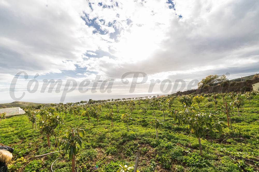 Ubebygd land til salgs i Torrox-Costa - € 231 000 (Ref: 3836738)