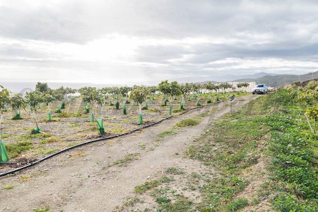 Rakentamaton maa myytävänä paikassa Torrox-Costa, Torrox - 231 000 € (Ref: 3836738)