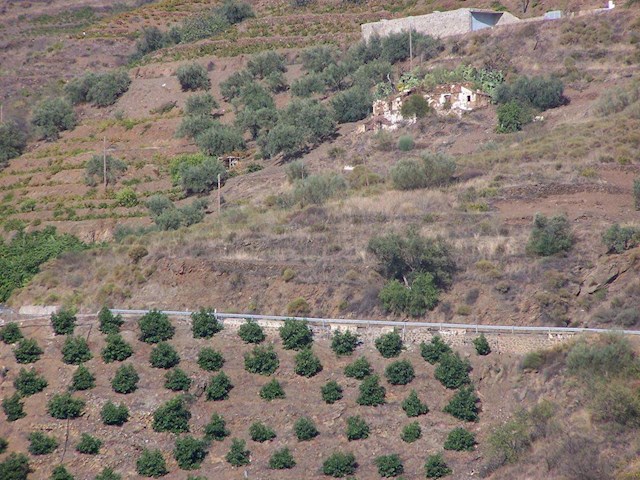 Building Plot for sale in Sayalonga - € 94,000 (Ref: 3846379)