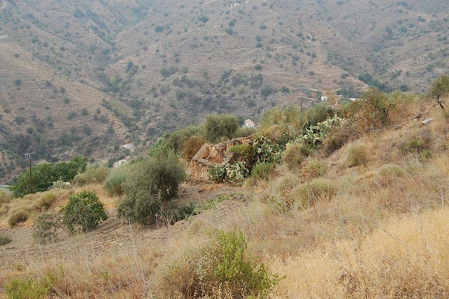 Building Plot for sale in Sayalonga - € 94,000 (Ref: 3846379)