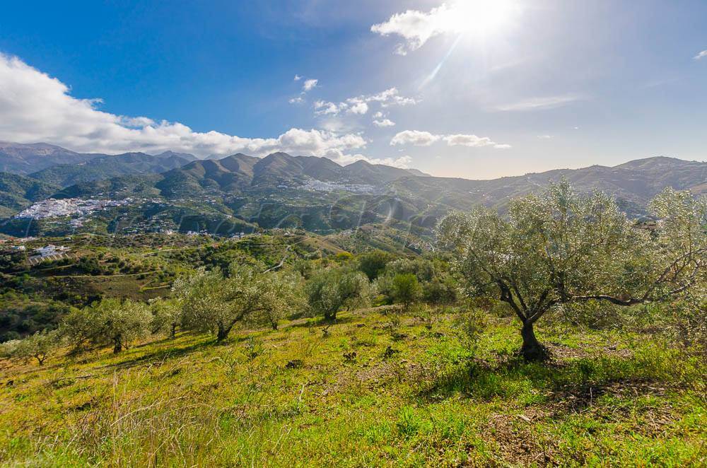 Grunde uden byggetilladelser til salg i Archez - € 160.000 (Ref: 3862391)