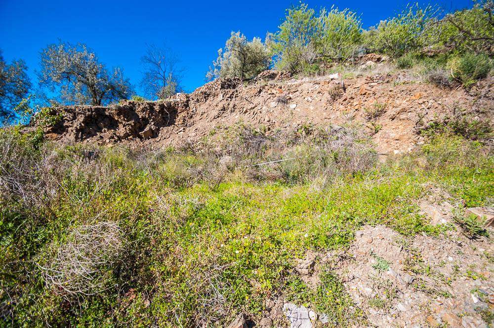 Mark till salu i Sayalonga - 120 000 € (Ref: 3875717)