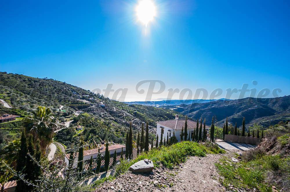 Mark till salu i Sayalonga - 120 000 € (Ref: 3875717)