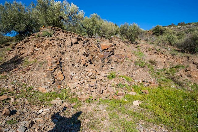 Undeveloped Land for sale in Sayalonga - € 120,000 (Ref: 3875717)