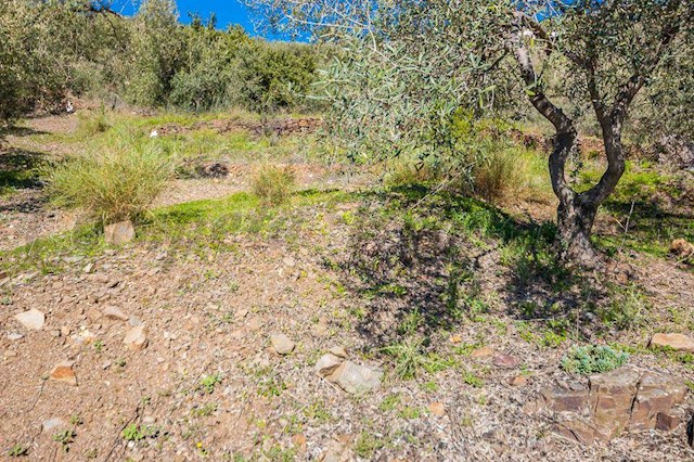 Undeveloped Land for sale in Sayalonga - € 120,000 (Ref: 3875717)