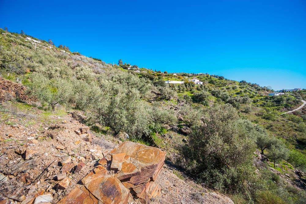 Mark till salu i Sayalonga - 120 000 € (Ref: 3875717)