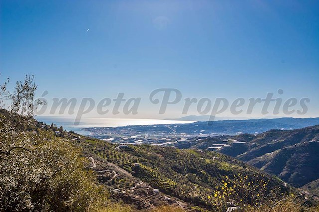 Undeveloped Land for sale in Sayalonga - € 120,000 (Ref: 3875717)