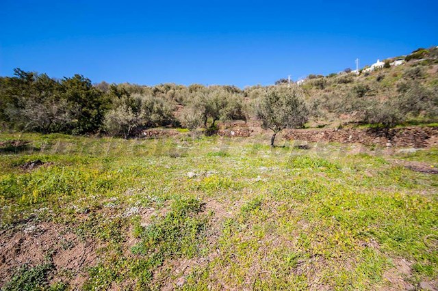 Undeveloped Land for sale in Sayalonga - € 120,000 (Ref: 3875717)