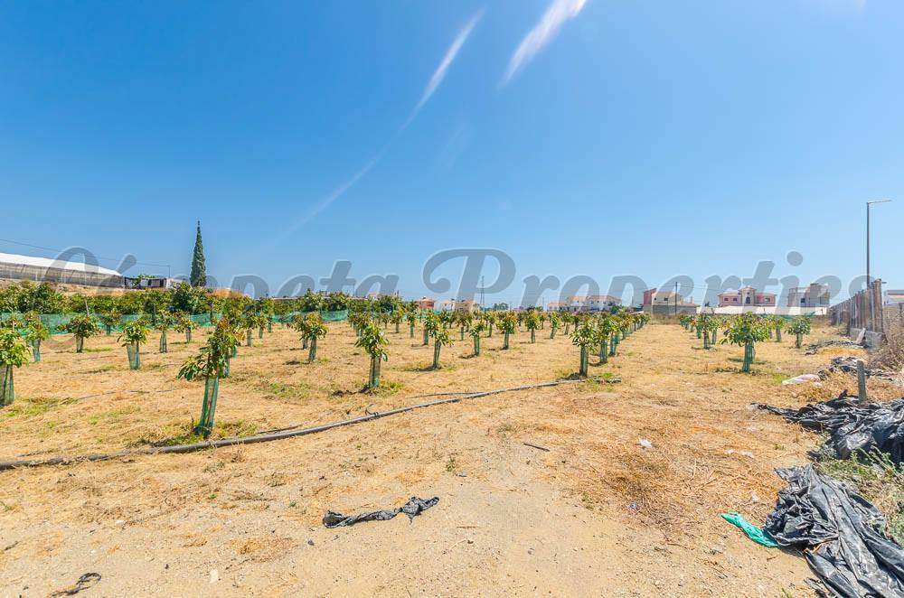 Byggetomt til salgs i Algarrobo - € 170 000 (Ref: 4032164)