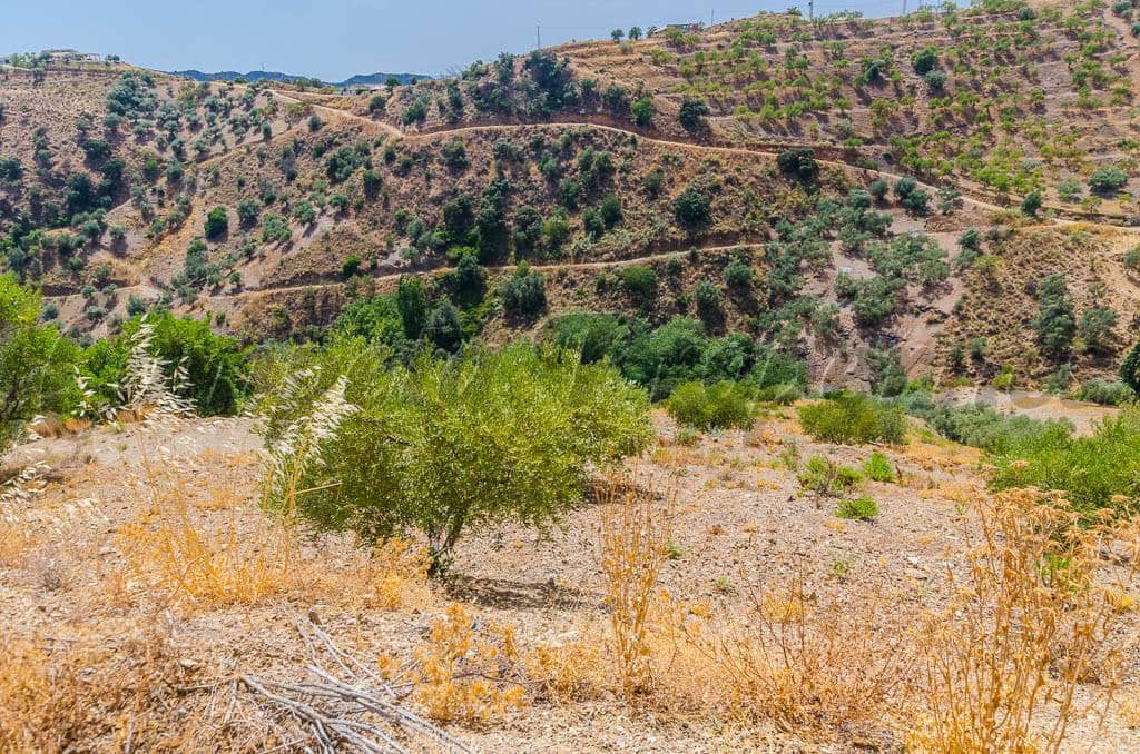 Grunde uden byggetilladelser til salg i Sedella - € 30.000 (Ref: 4091062)