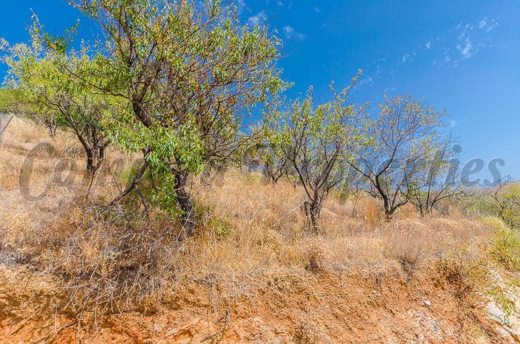 Grunde uden byggetilladelser til salg i Sedella - € 30.000 (Ref: 4091062)