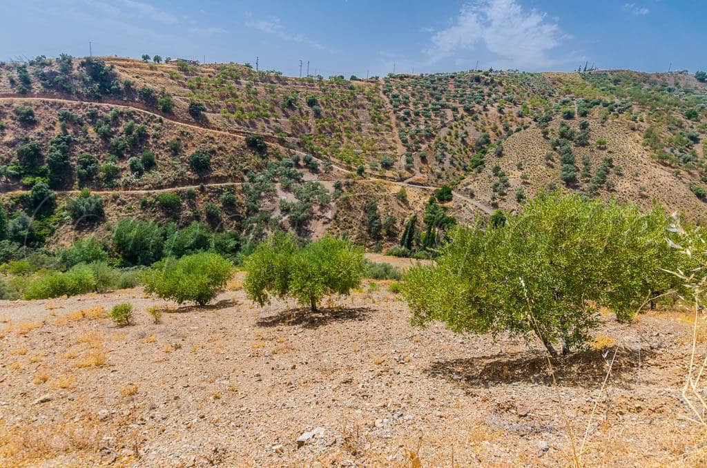 Grunde uden byggetilladelser til salg i Sedella - € 30.000 (Ref: 4091062)