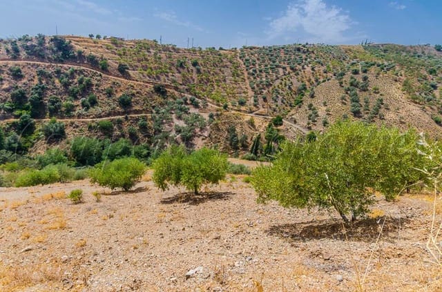 Mark till salu i Sedella - 30 000 € (Ref: 4091062)