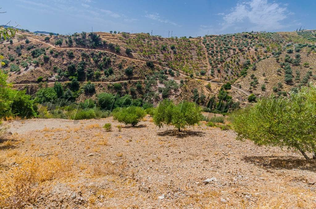 Grunde uden byggetilladelser til salg i Sedella - € 30.000 (Ref: 4091062)