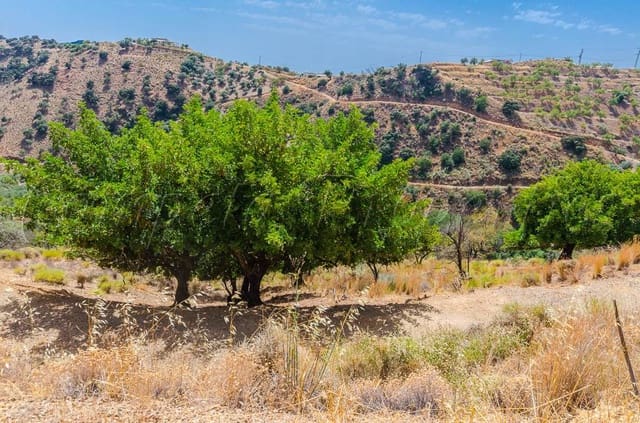 Mark till salu i Sedella - 30 000 € (Ref: 4091062)