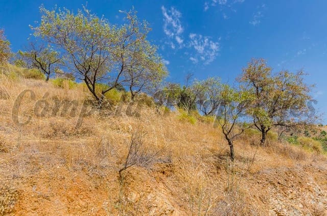 Mark till salu i Sedella - 30 000 € (Ref: 4091062)