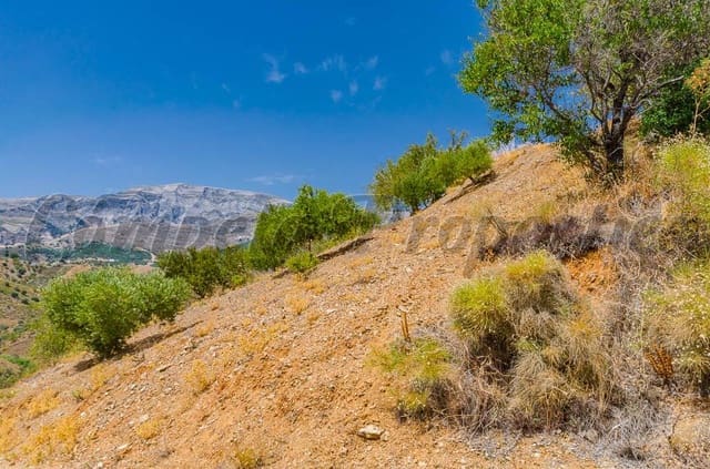 Mark till salu i Sedella - 30 000 € (Ref: 4091062)