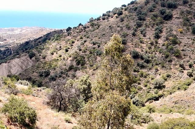 Undeveloped Land for sale in Sayalonga - € 50,000 (Ref: 4100949)