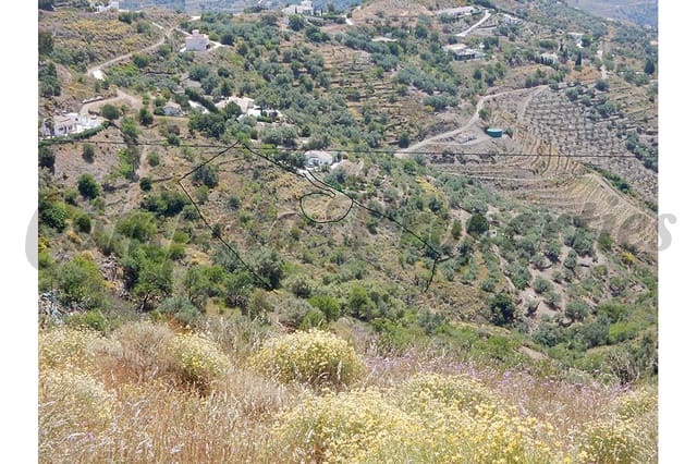 Undeveloped Land for sale in Sayalonga - € 50,000 (Ref: 4100949)