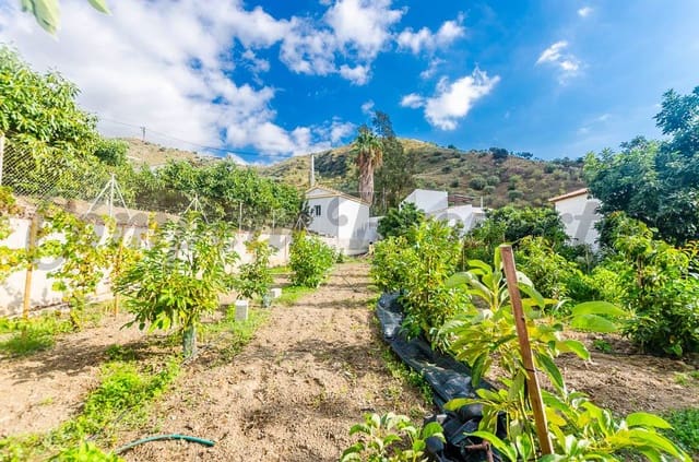 Mark till salu i Canillas de Aceituno - 45 000 € (Ref: 4207882)