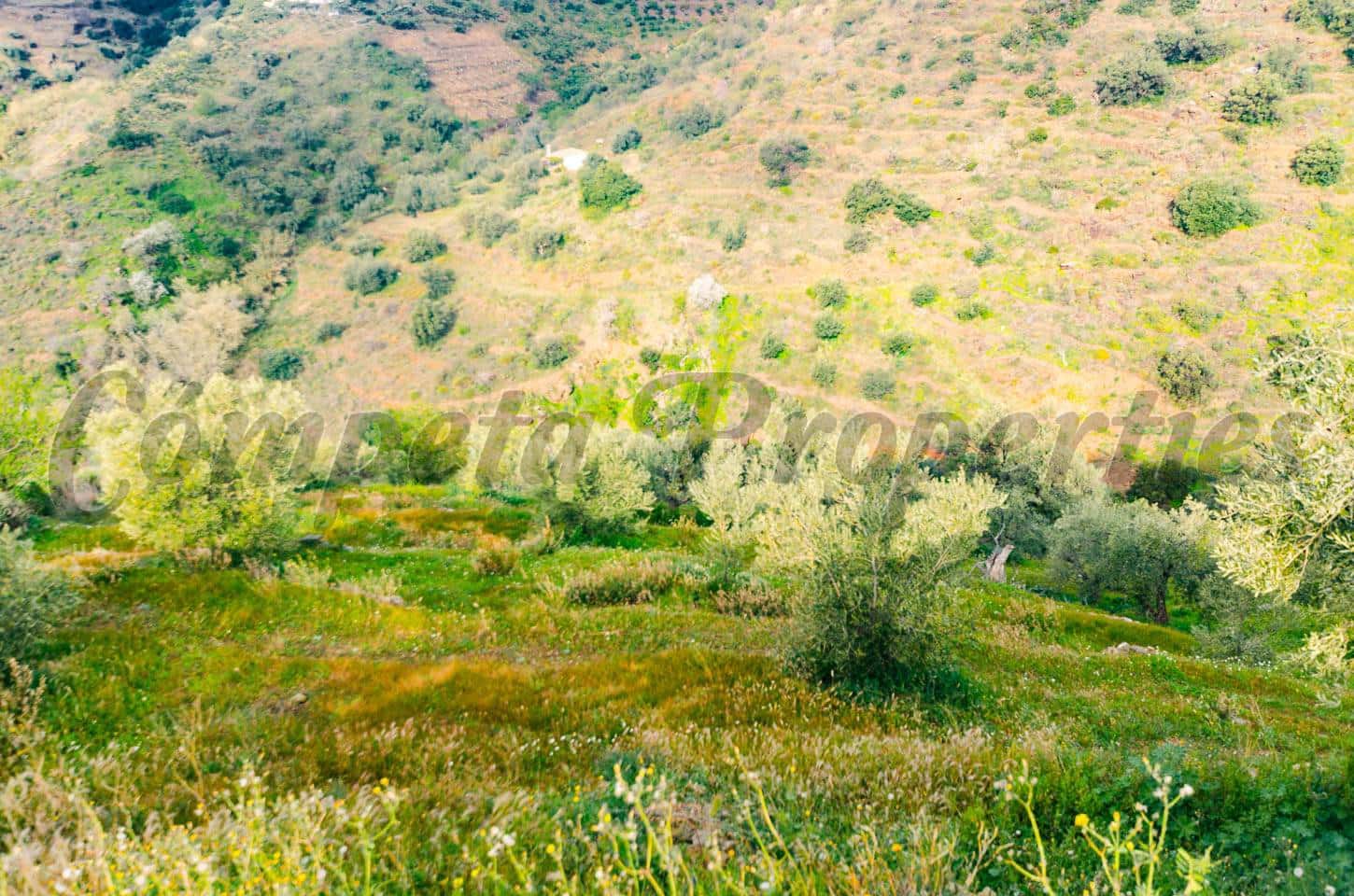 Rakentamaton maa myytävänä paikassa Competa - 250 000 € (Ref: 4464164)