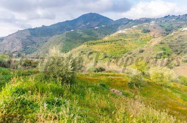 Mark till salu i Cómpeta - 250 000 € (Ref: 4464164)