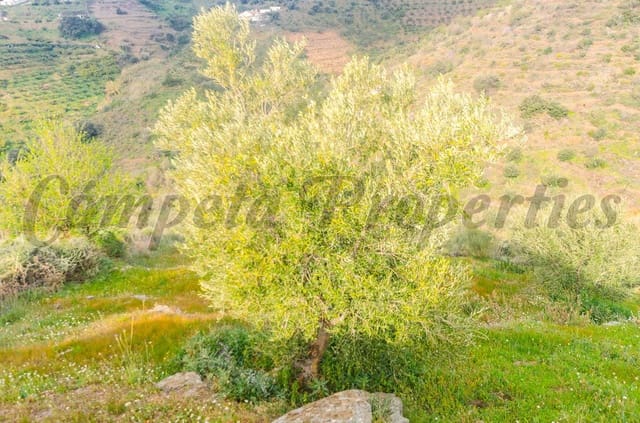 Mark till salu i Cómpeta - 250 000 € (Ref: 4464164)