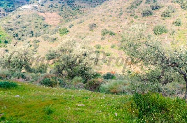 Mark till salu i Cómpeta - 250 000 € (Ref: 4464164)