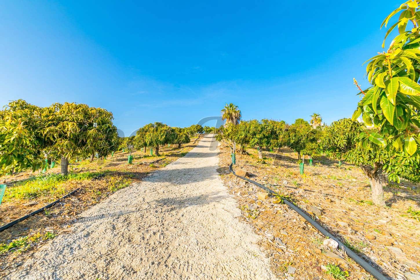 Ubebygd land til salgs i Benajarafe - € 1 100 000 (Ref: 4481946)