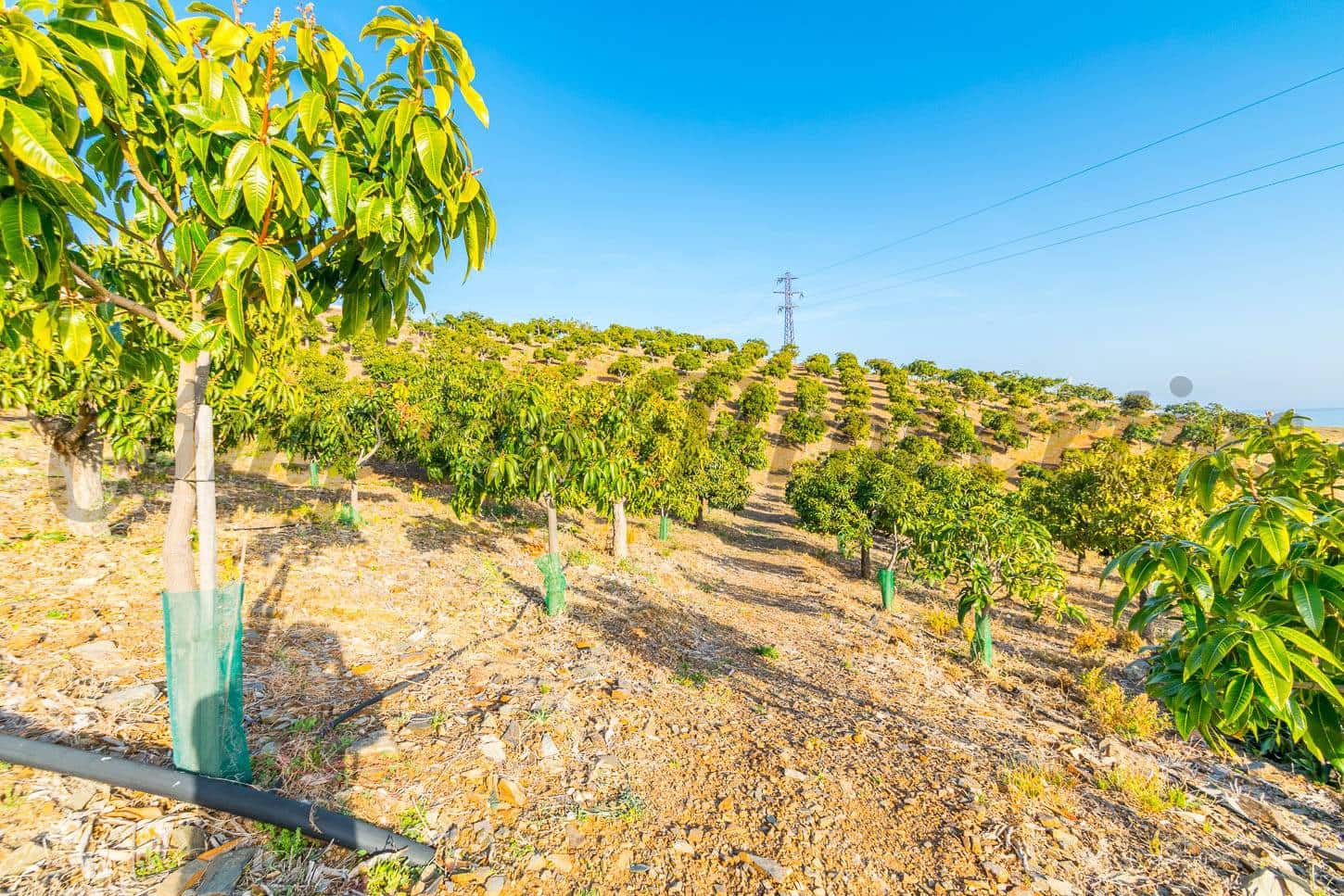 Ubebygd land til salgs i Benajarafe - € 1 100 000 (Ref: 4481946)