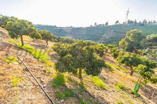 Grond te koop in Benajarafe, Vélez-Málaga - € 1.100.000 (Ref: 4481946)