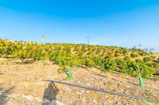 Grond te koop in Benajarafe, Vélez-Málaga - € 1.100.000 (Ref: 4481946)