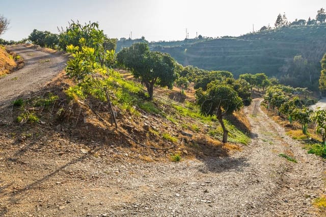 Grond te koop in Benajarafe, Vélez-Málaga - € 1.100.000 (Ref: 4481946)