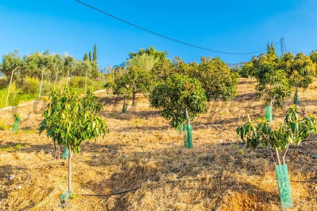 Grond te koop in Benajarafe, Vélez-Málaga - € 1.100.000 (Ref: 4481946)