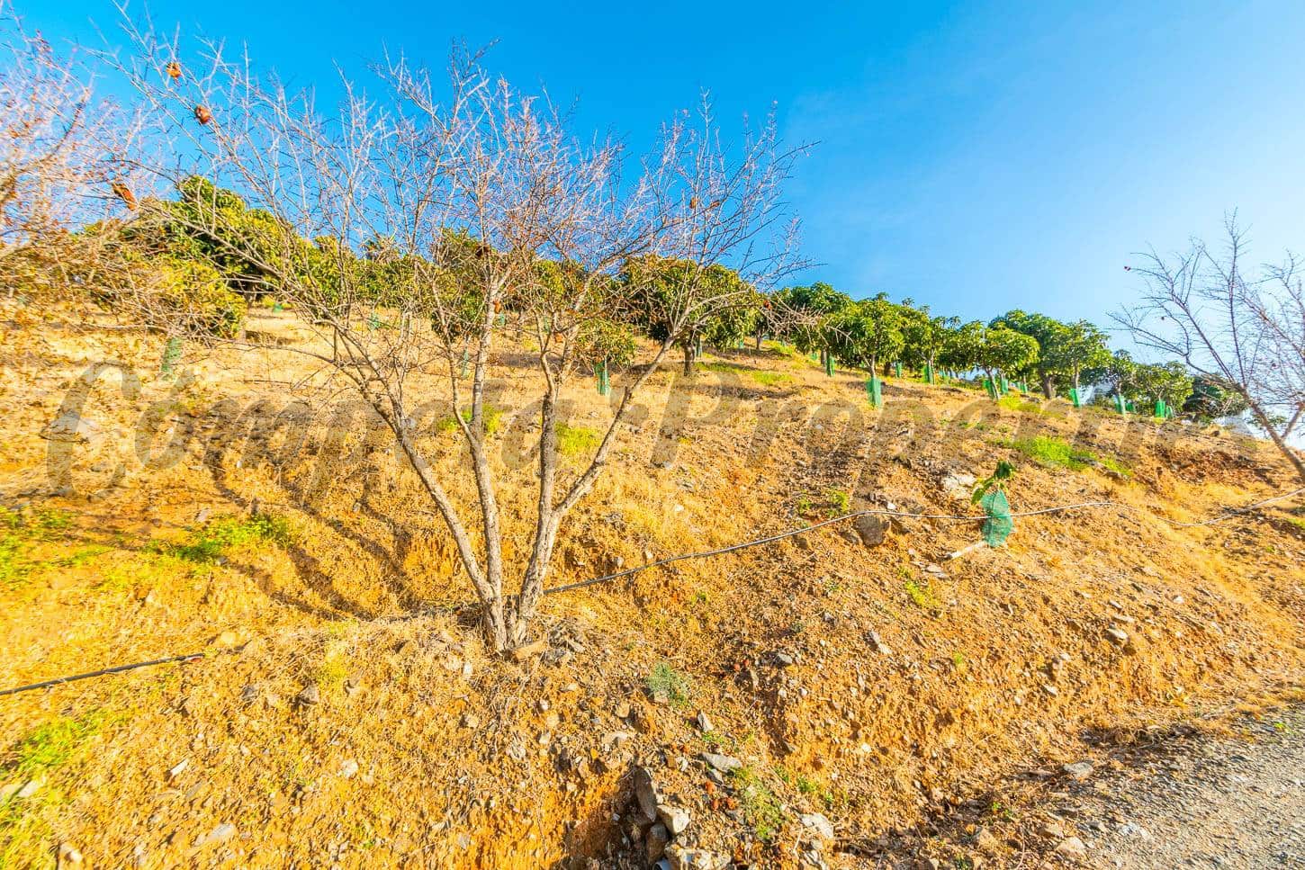 Ubebygd land til salgs i Benajarafe - € 1 100 000 (Ref: 4481946)