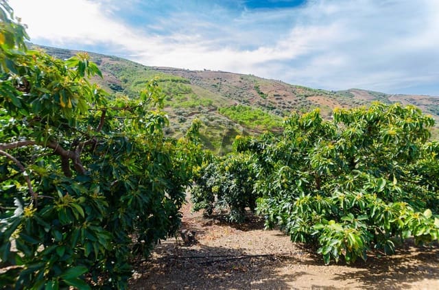 1 slaapkamer Finca/Landhuis te koop in Canillas de Albaida met garage - € 180.000 (Ref: 4542719)