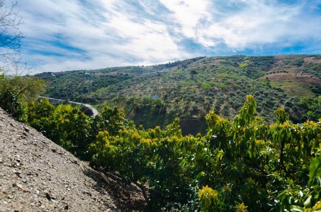 1 slaapkamer Finca/Landhuis te koop in Canillas de Albaida met garage - € 180.000 (Ref: 4542719)